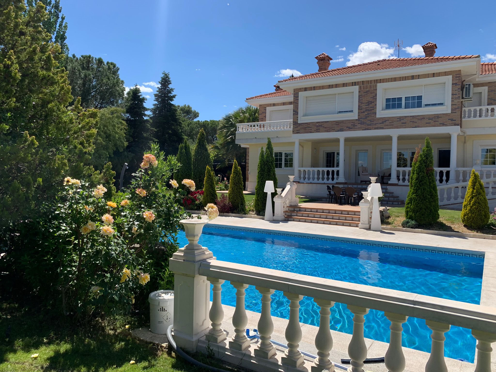 About Us Vetdub Clinic Dubai